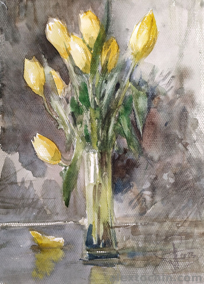 Тюльпанчики