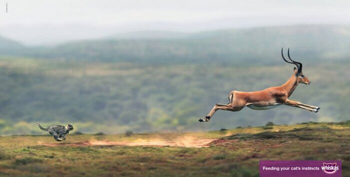 Не важно, кто ты. Когда встаёт солнце надо бежать