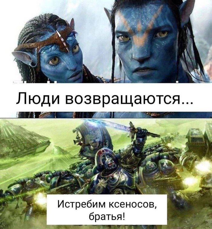  Wh humor, Warhammer 40k, ,   