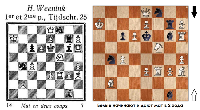 Двухходовочка #83