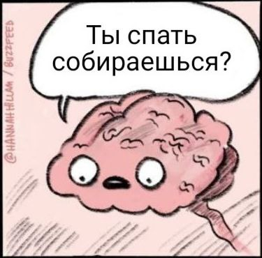 Почти заснул | Пикабу
