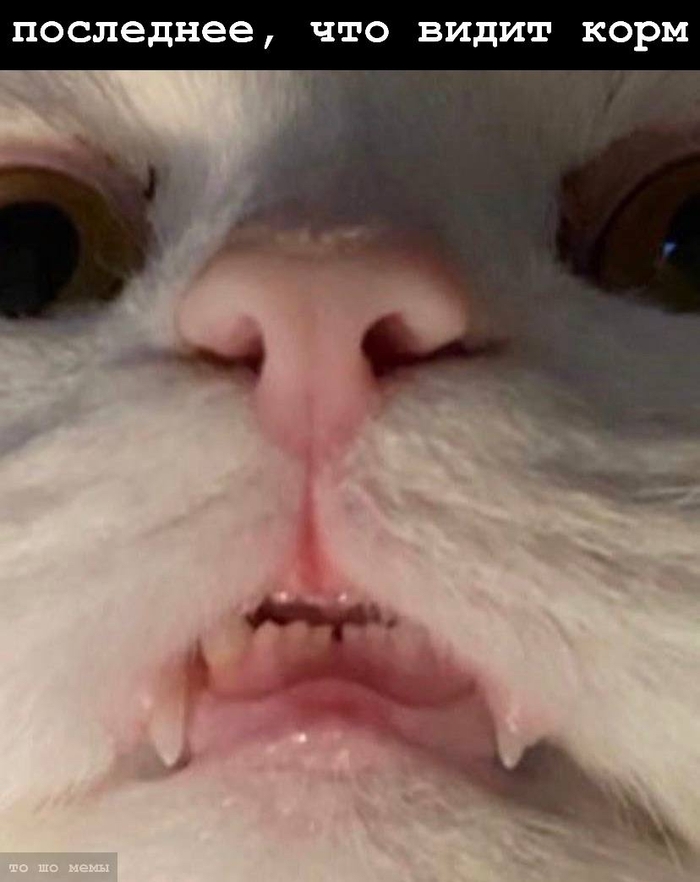  , ,   