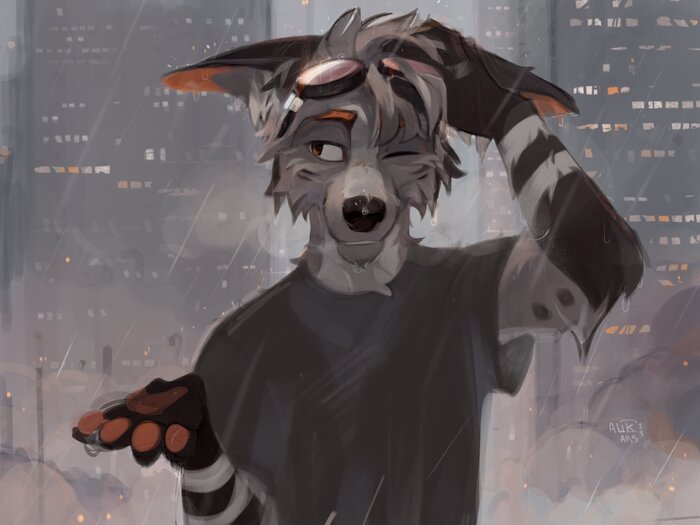  , Furry Canine, , , Furry Fox