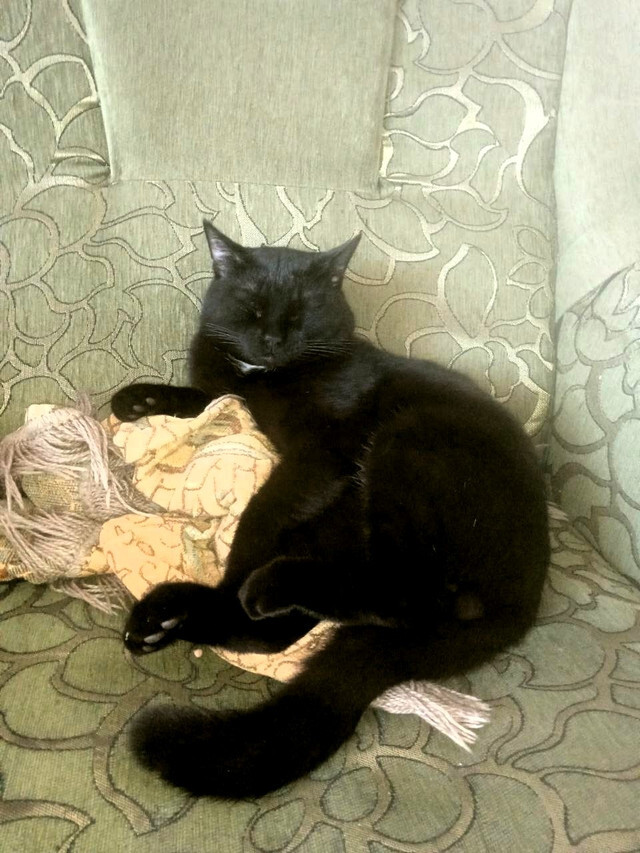 Безымянный