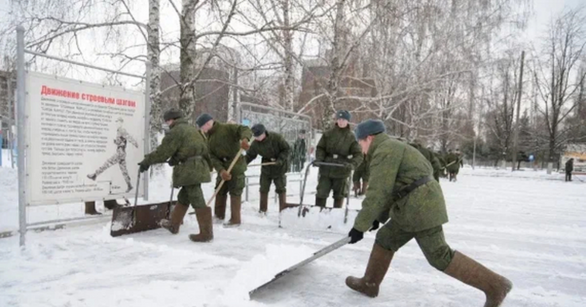 Пхд организации