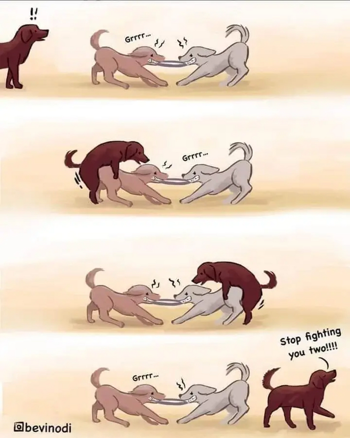 Stop fighting you two -  