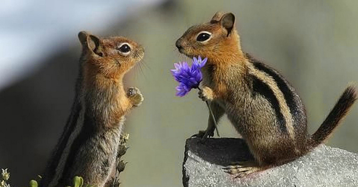 Мартовские иды | Пикабу