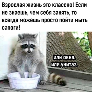 Взрослая жизнь | Пикабу