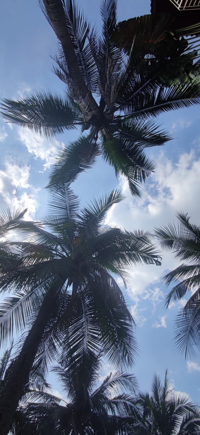 ����� �� ���� ���� ������� 40 ���