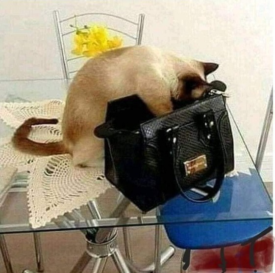 Наташа, в твоей сумочке чёрт ногу сломит