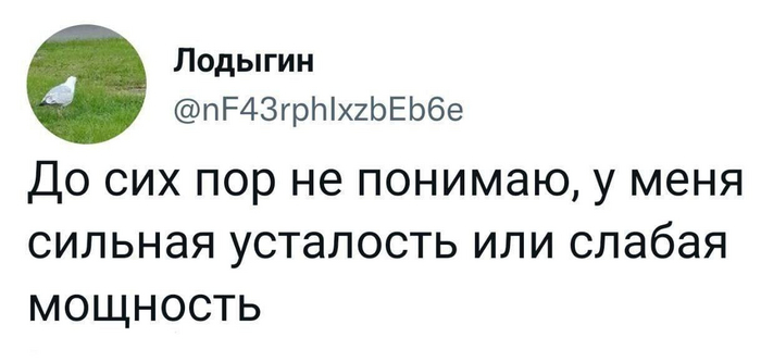 � �������, ����� �������