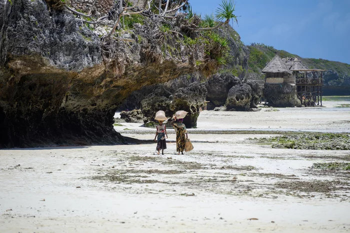 Огороды на Занзибаре Туризм, Путешествия, Огород, Африка, Занзибар, Длиннопост, Фотография