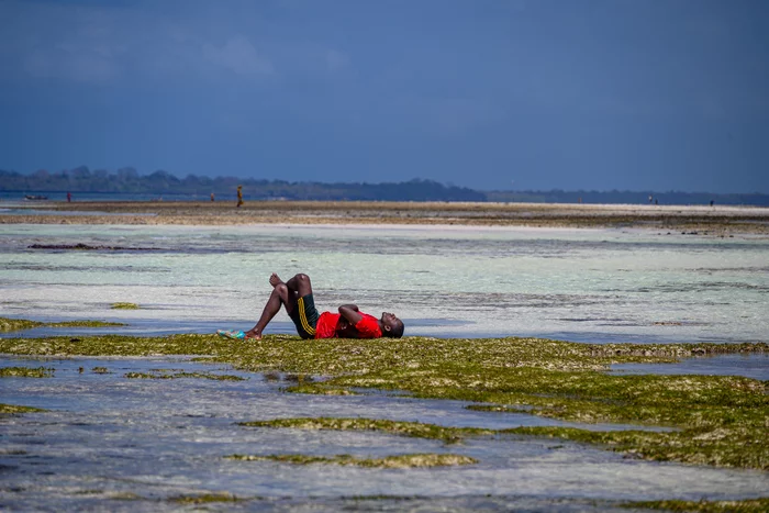 Огороды на Занзибаре Туризм, Путешествия, Огород, Африка, Занзибар, Длиннопост, Фотография