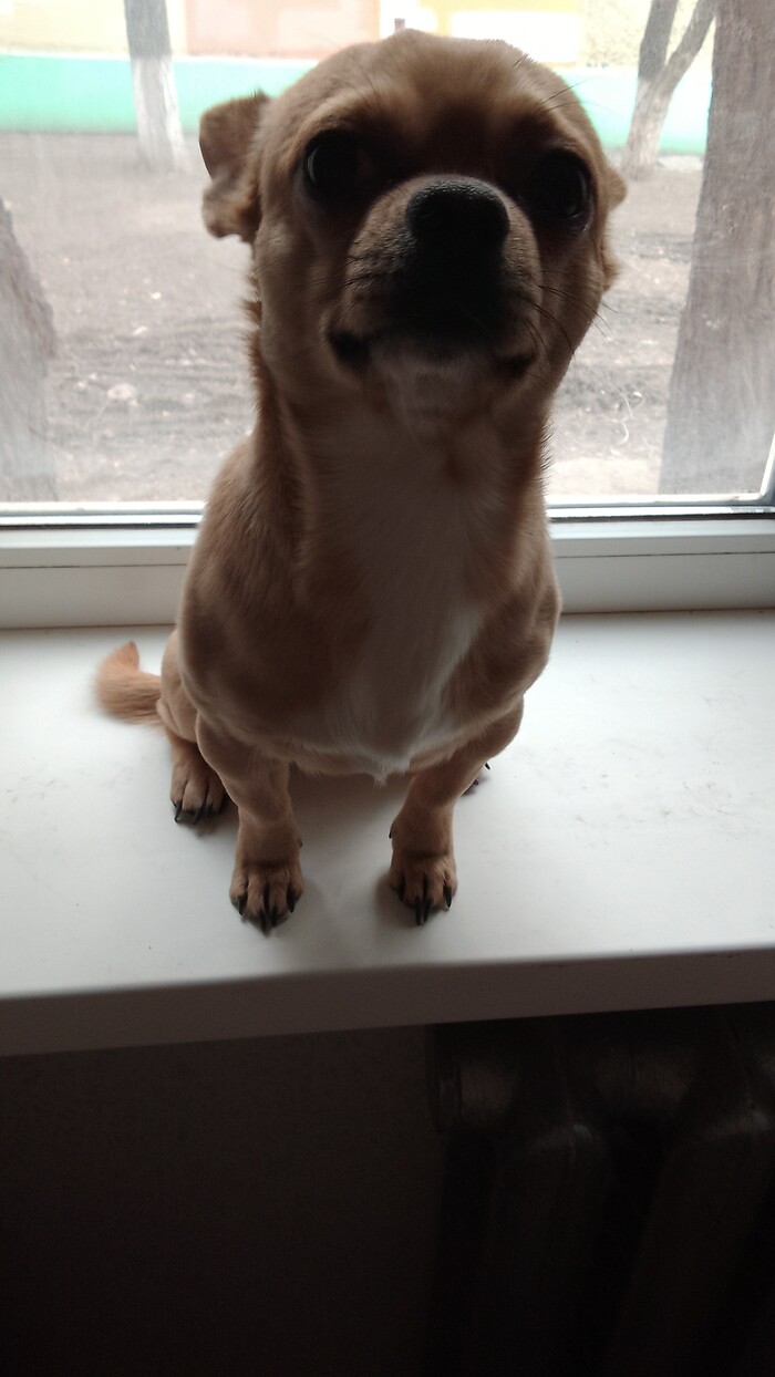    ... , , , , 