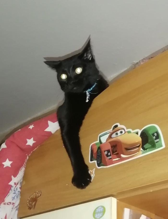      ,      , , ,   , 
