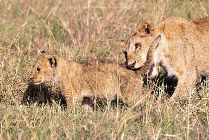 Дальше ходить нельзя