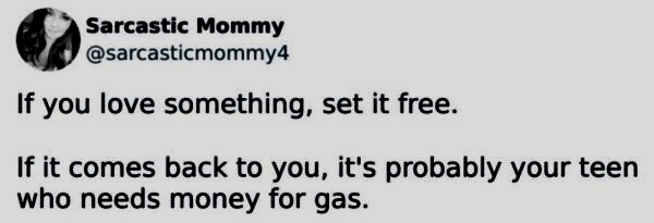 ��� ��������