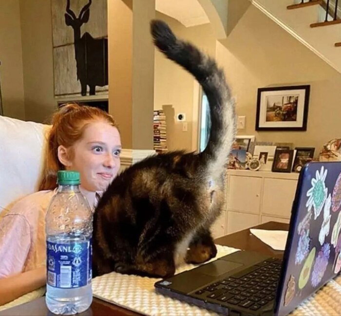        ... ,   , -