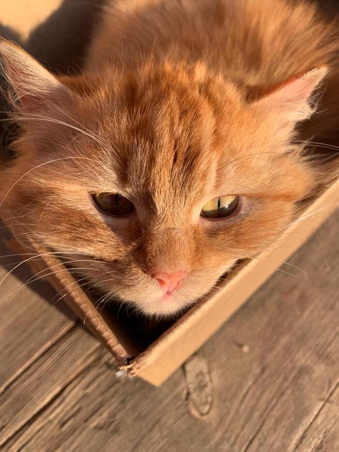 ����� ����� ������