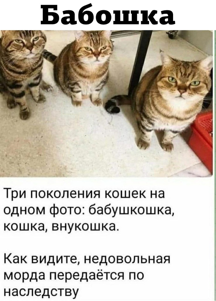 ����� ��������� ���������� �� ���������