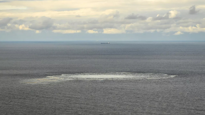 ����� �������� ������ � ������� � ������������� �� �� "�������� �������"