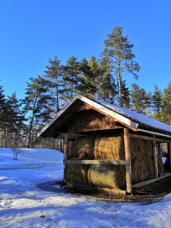 �������� �����