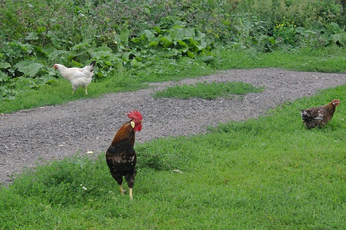 Кто не спрятался - ОН не виноват...