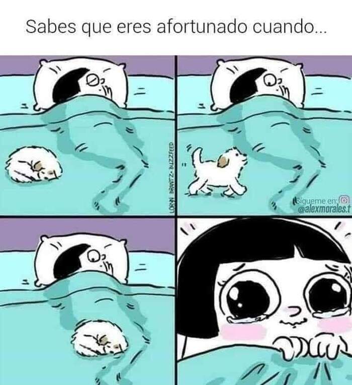,   , ...