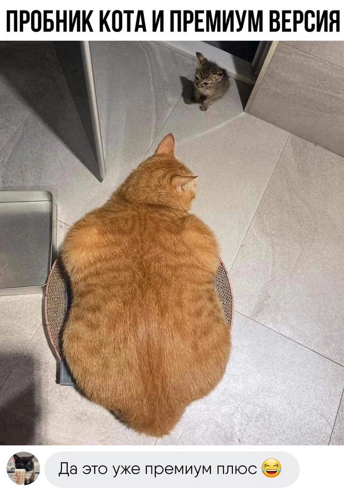   ,   , , , ,  