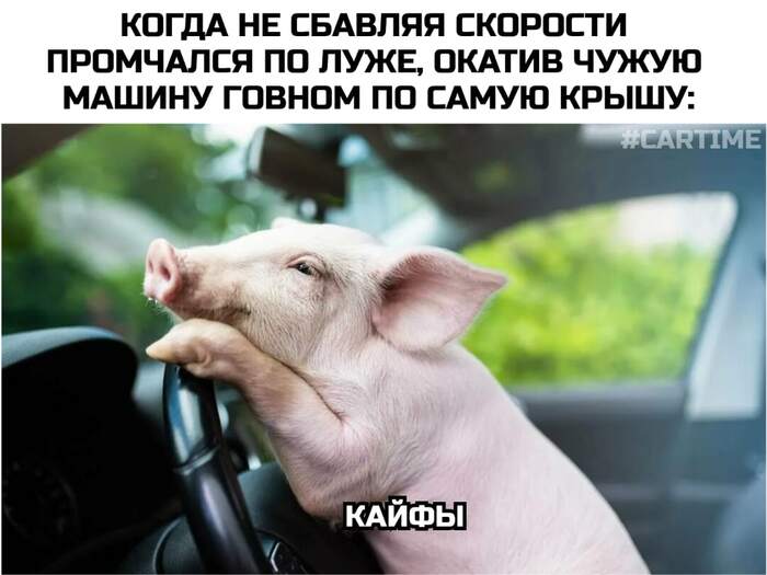 ��������...