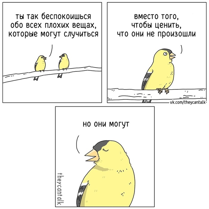   , , , Theycantalk, 