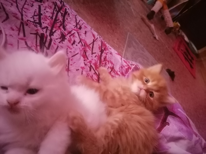   , , , , 