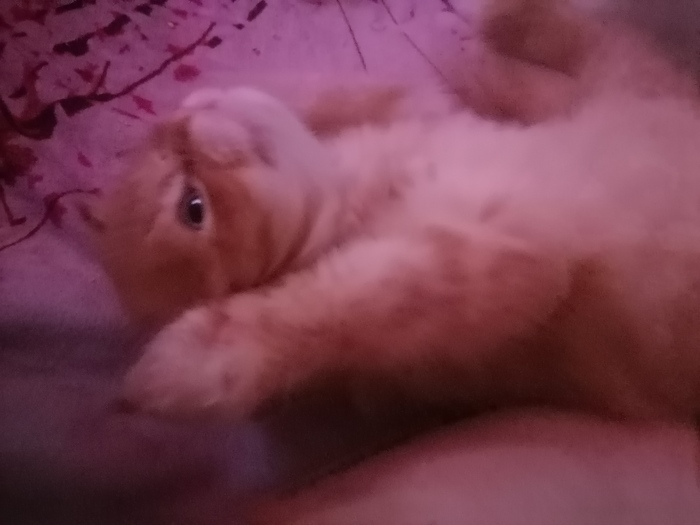   , , , , 
