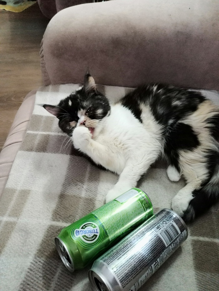 ��� ������ �?