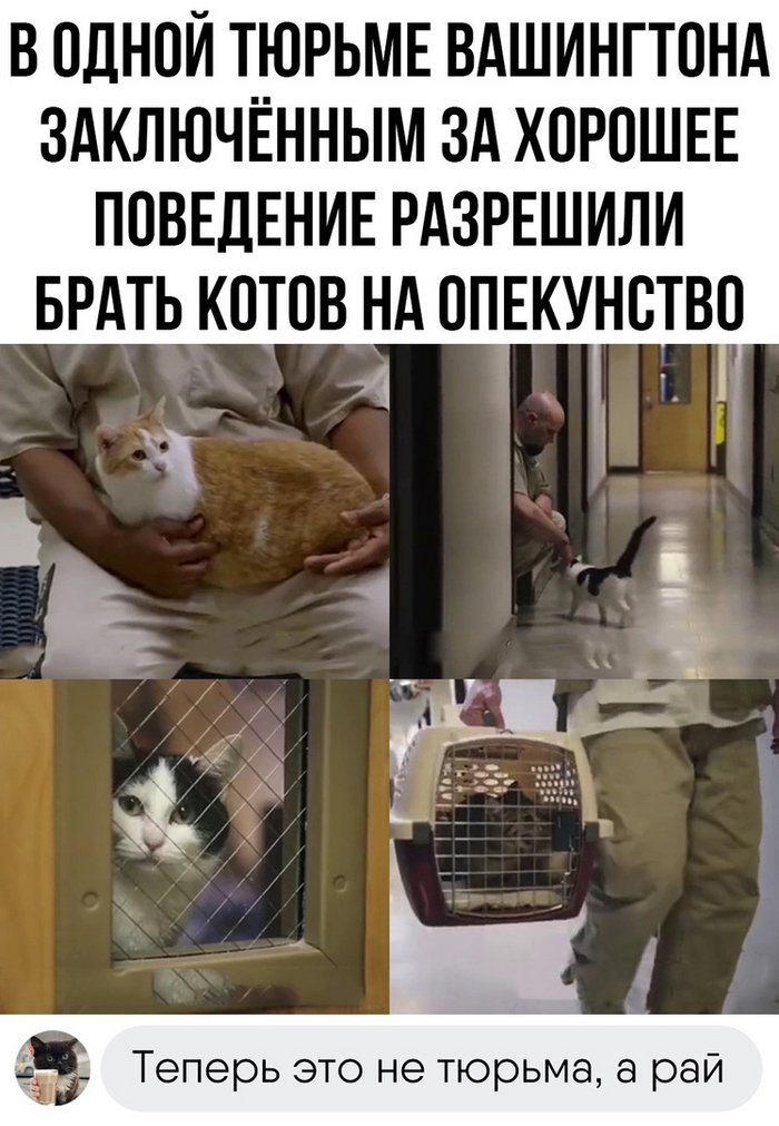  ,   , , , 