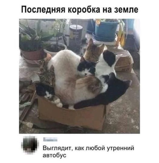 В тесноте да не в обиде