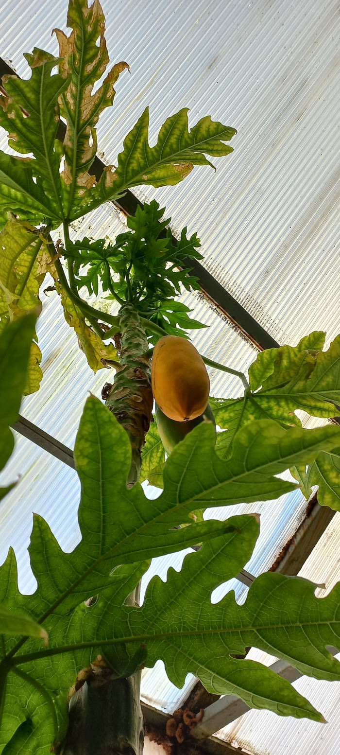      , , ,  , , , , 