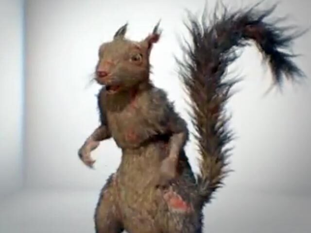 Как ко мне белка пришла | Пикабу