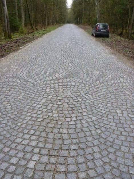 Стaрая немецкая дорога в Калининградской области