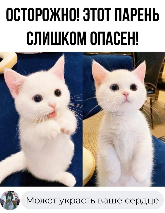 Опасен