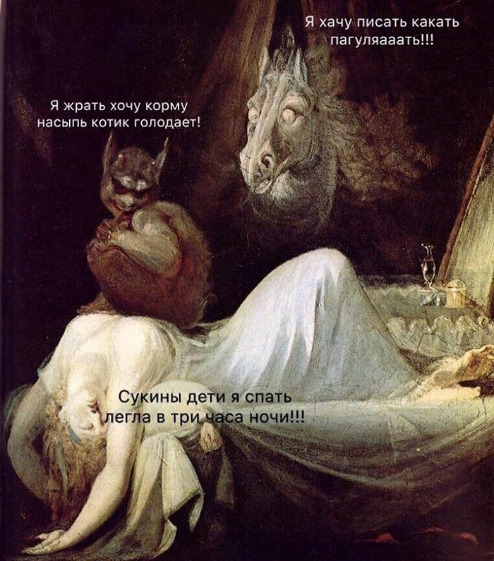 В мире животных