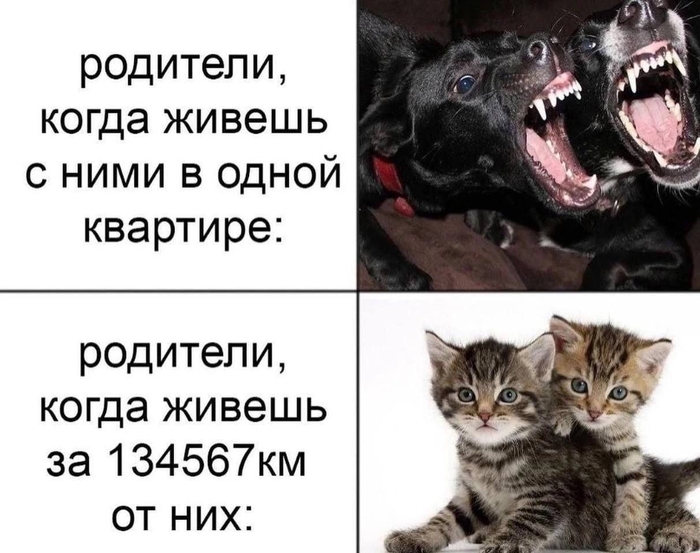     ,   , , , , 