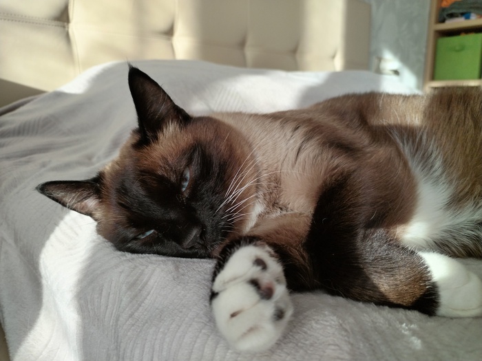 ����� �������� ���������