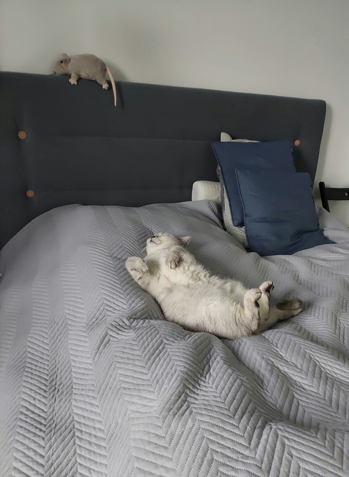 ���� �� ������ � ����������� ����������?