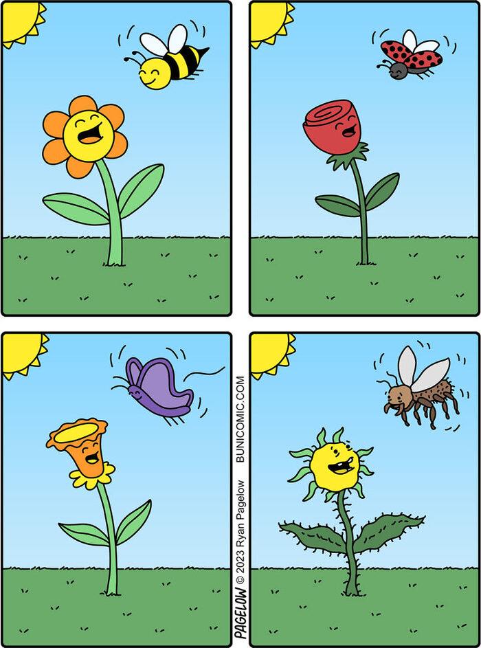   Buni, Pagelow, , , , , 