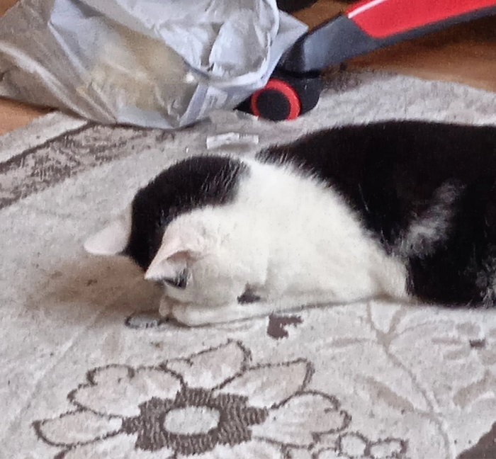 Настроение - спать