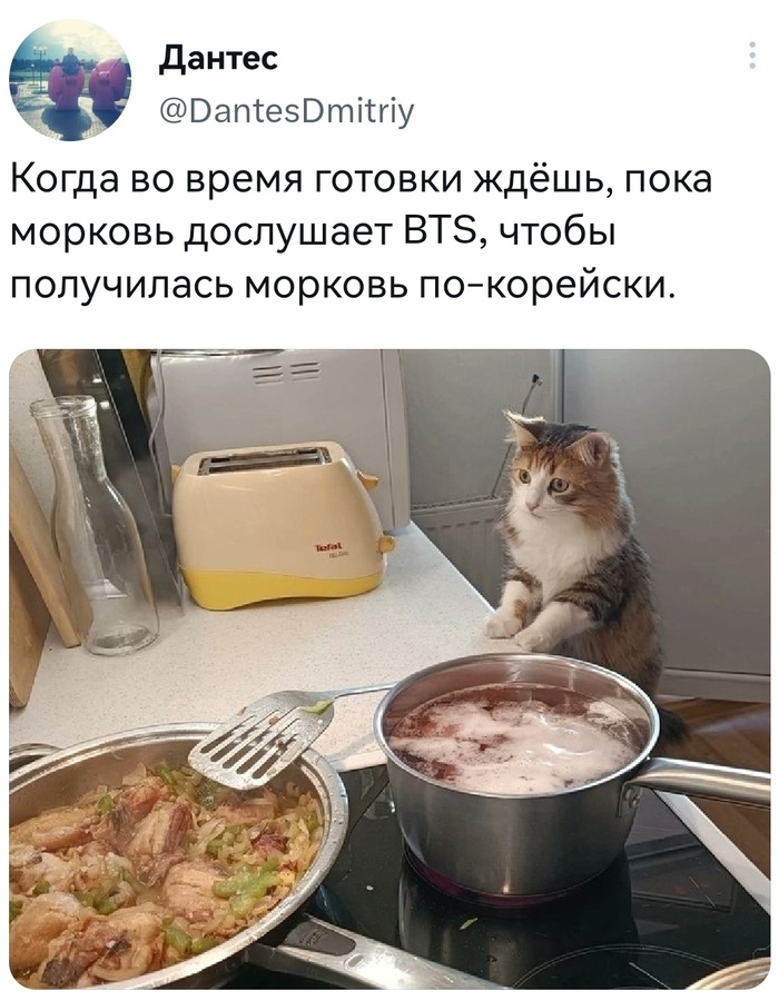  - , , X (Twitter), , ,  -, BTS (),  ,  