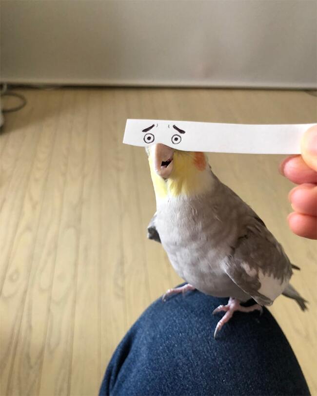      , , , 