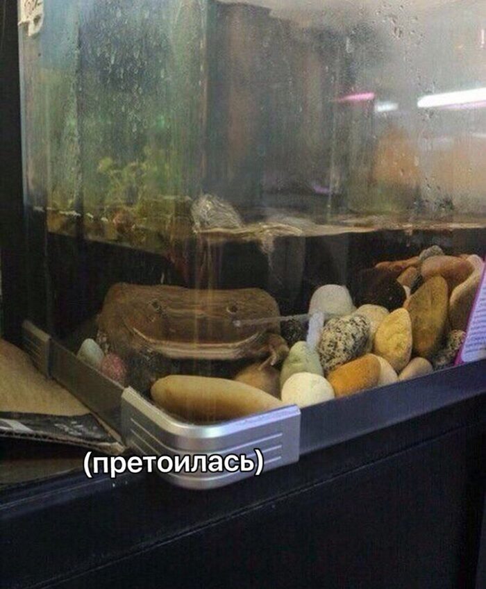 В центре недели