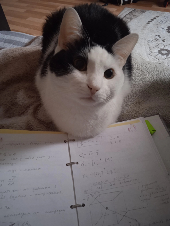 Я ничего не понимаю, а ты?